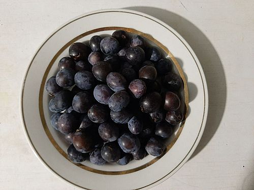 Фото: пресс-службы ФГБУ «ЦОК АПК» (ведомство Россельхознадзора)